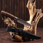 Нож охотничий "Лес" 27см, клинок 138мм/3мм, рукоять микс - Фото 2