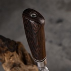 Нож охотничий «Лес», 27 см, клинок 138 мм/3 мм, рукоять МИКС 5019173