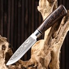 Нож охотничий "Лес" 27см, клинок 138мм/3мм, рукоять микс - Фото 4