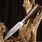Нож охотничий "Лес" 27см, клинок 138мм/3мм, рукоять микс - Фото 5