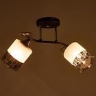 Люстра ГАЛЛОП 890521 2х60Вт Е27 черный/матовый белый с черным рисунком - фото 21153733