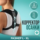 Массажёр - фиксатор для осанки, на фастексах, размер L-XL, чёрный - Фото 1
