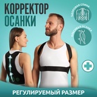 Массажёр - фиксатор для осанки и поясницы, на фастексах, до 46 размера, чёрный - Фото 1