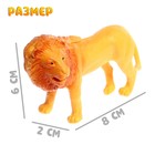 Набор животных «Звери Африки», 6 фигурок - Фото 2