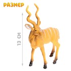 Набор животных «Лесные звери», 6 фигурок - Фото 2