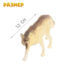 Набор животных «Лесные звери», 6 фигурок - Фото 5