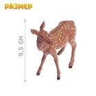 Набор животных «Лесные звери», 6 фигурок - Фото 7