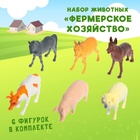 Набор животных «Фермерское хозяйство», 6 фигурок - Фото 1