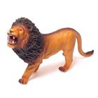 Фигурка животного «Африканский лев», длина 35 см - фото 9106720
