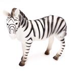 Фигурка животного «Бурчеллова зебра», длина 24 см - фото 11003985