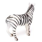 Фигурка животного «Бурчеллова зебра», длина 24 см - Фото 2