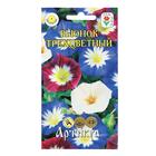 Семена цветов Вьюнок трехцветный смесь, 0,3 г - Фото 1