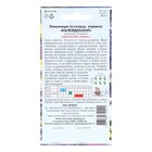 Семена цветов Лимониум "Калейдоскоп", 0,1 г - Фото 2