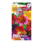 Семена цветов Сальпиглоссис «Болеро», 0.05 г, «Артикул» - Фото 1