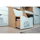 Лестиница-шкаф Гудвин 10.25, 508х1050х1304, Гикори рокфорд/Мята - фото 120397206