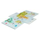 Модульная картина «Карта», детская, 30 х 60 см 5415991 - фото 17032776