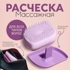 Расчёска массажная, с крышкой, 5 × 9 см, PVC-коробка, цвет МИКС - Фото 1