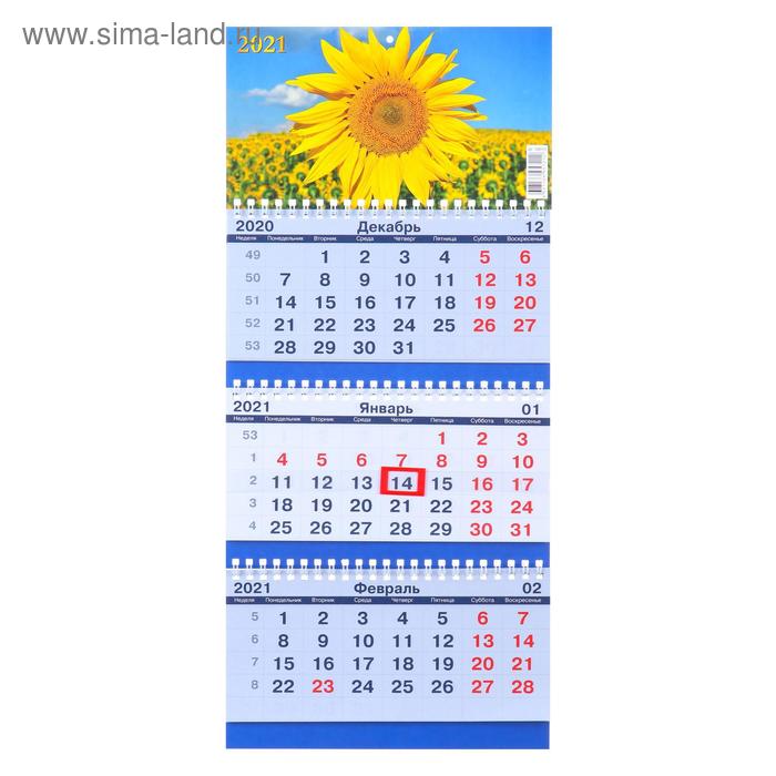 Календарь квартальный трио-эконом "Подсолнухи, 2021 - 170", 20х47 см - Фото 1