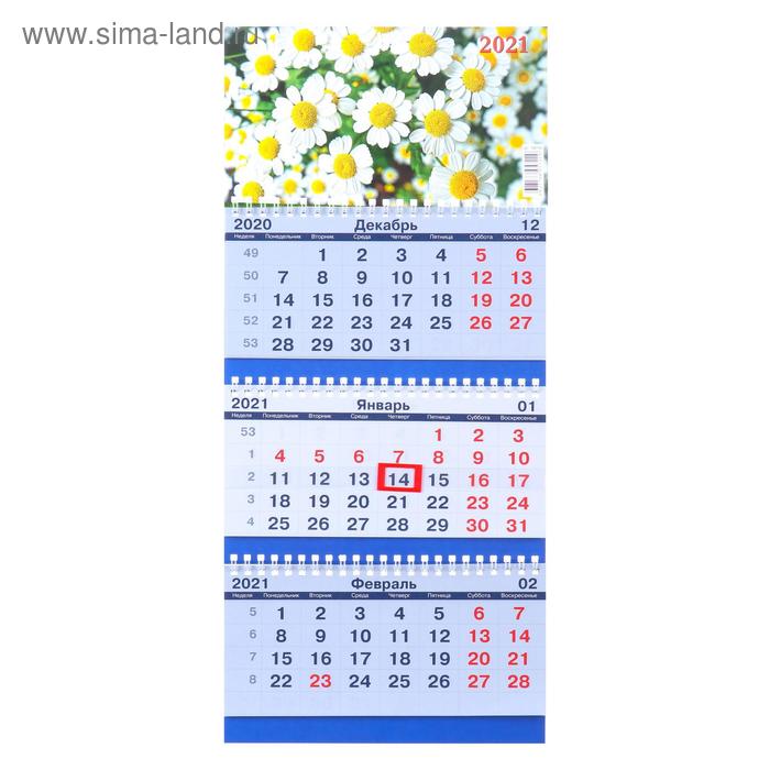 Календарь квартальный трио-эконом "Ромашки, 2021 - 171", 20х47 см - Фото 1