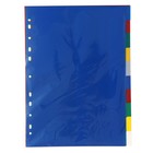 Набор разделителей листов А4 Office-2000, 10 листов без индексации, цветные, пластик 120 мкм - Фото 9