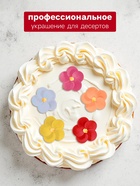 Вафельные флоксы, микс, 250 шт. - Фото 3