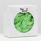 Лист розы малый 38 мм, светло-зеленый, 1000 шт. - фото 68049568