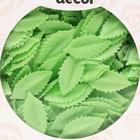 Вафельный «Лист розы», малый, светло - зеленый, 1000 шт. - Фото 8