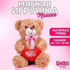 Мягкая игрушка «Ты в моём сердце», медведь, цвета МИКС - фото 625523