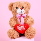 Мягкая игрушка «Ты в моём сердце», медведь, цвета МИКС - Фото 5