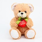 Мягкая игрушка «Ты в моём сердце», медведь, цвета МИКС - Фото 7