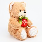 Мягкая игрушка «Ты в моём сердце», медведь, цвета МИКС - Фото 8