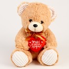 Мягкая игрушка «Ты в моём сердце», медведь, цвета МИКС - Фото 9