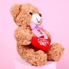 Мягкая игрушка «Ты в моём сердце», медведь, цвета МИКС - Фото 6