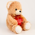Мягкая игрушка «Ты в моём сердце», медведь, цвета МИКС - Фото 10