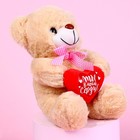 Мягкая игрушка «Ты в моём сердце», медведь, цвета МИКС - Фото 2
