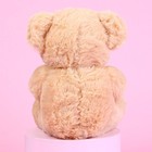 Мягкая игрушка «Ты в моём сердце», медведь, цвета МИКС - Фото 4