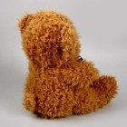 Мягкая игрушка «Люблю тебя», медведь, цвета МИКС - Фото 5