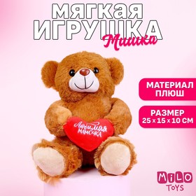 Мягкая игрушка «Любимая мамочка», 25 см, МИКС 5180228