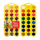 Акварель медовая «ЗХК. Цветик», 24 цвета, без кисти, жёлтый пластиковый футляр с петлёй, 27421678 - Фото 1