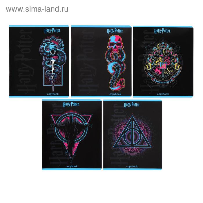 Тетрадь 48 листов в клетку "Гарри Поттер", обложка мелованный картон, глянцевая ламинация, блок офсет, МИКС - Фото 1