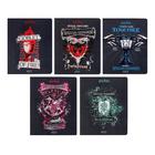 Тетрадь 48 листов в клетку "Гарри Поттер", обложка мелованный картон, матовая ламинация, блок офсет, МИКС - Фото 1