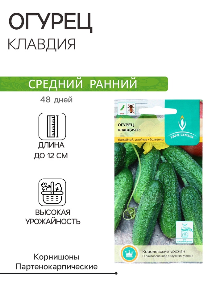 Семена Огурец «Клавдия» F1, 10 шт., «Евро-семена» - Фото 1
