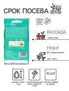 Семена Огурец «Клавдия» F1, 10 шт., «Евро-семена» - Фото 2