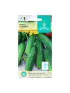 Семена Огурец «Клавдия» F1, 10 шт., «Евро-семена» - Фото 5