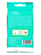 Семена Огурец «Клавдия» F1, 10 шт., «Евро-семена» - Фото 8