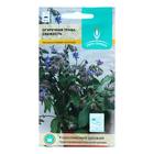 Семена Огуречная трава "Свежесть", цв/п, 0,5 г - Фото 1