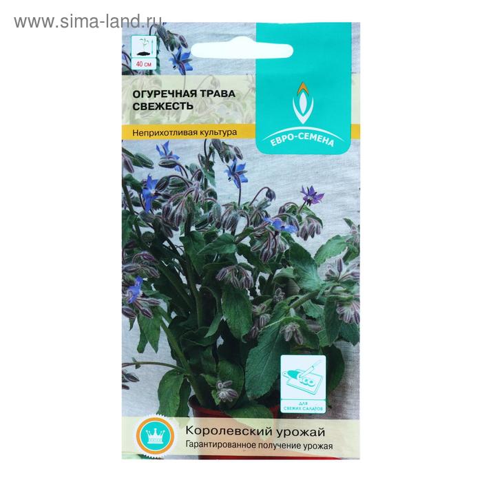 Семена Огуречная трава "Свежесть", цв/п, 0,5 г - Фото 1
