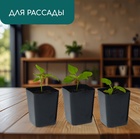 Горшок для рассады, 800 мл, 9×9×12.5 см, пластик, МИКС, Greengo - Фото 3