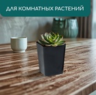 Горшок для рассады, 800 мл, 9×9×12.5 см, пластик, МИКС, Greengo - Фото 4