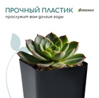 Горшок для рассады, 800 мл, 9×9×12.5 см, пластик, МИКС, Greengo - Фото 5